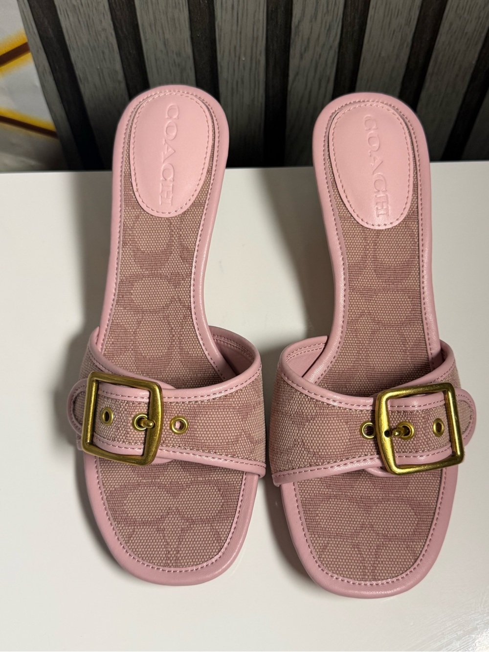 COACH Pink Canvas & Leather Slide Mules with Gold Buckles